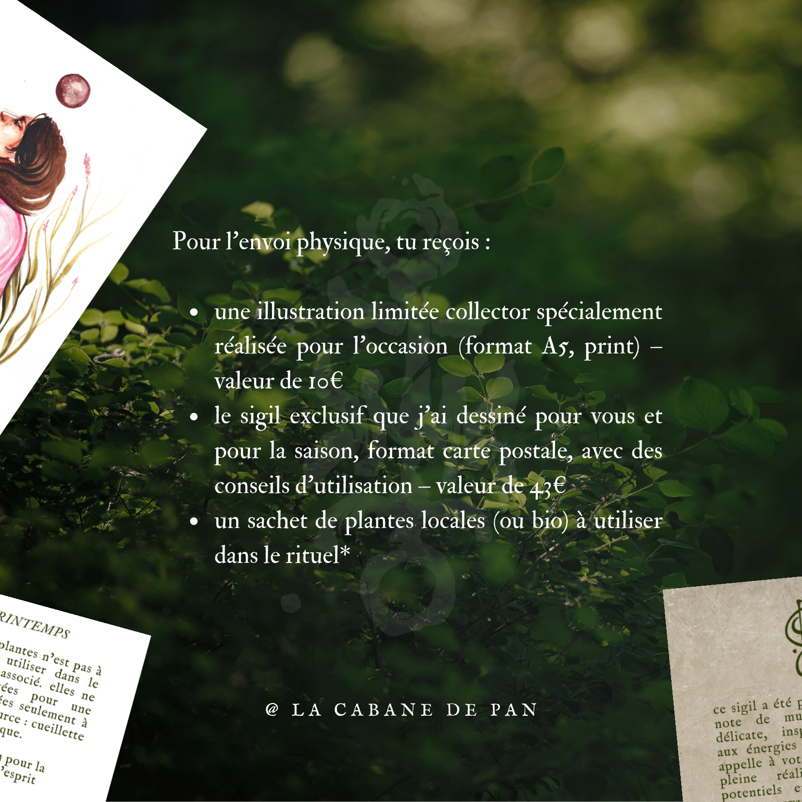 Coffret printanier - printemps 2026 – Image 3