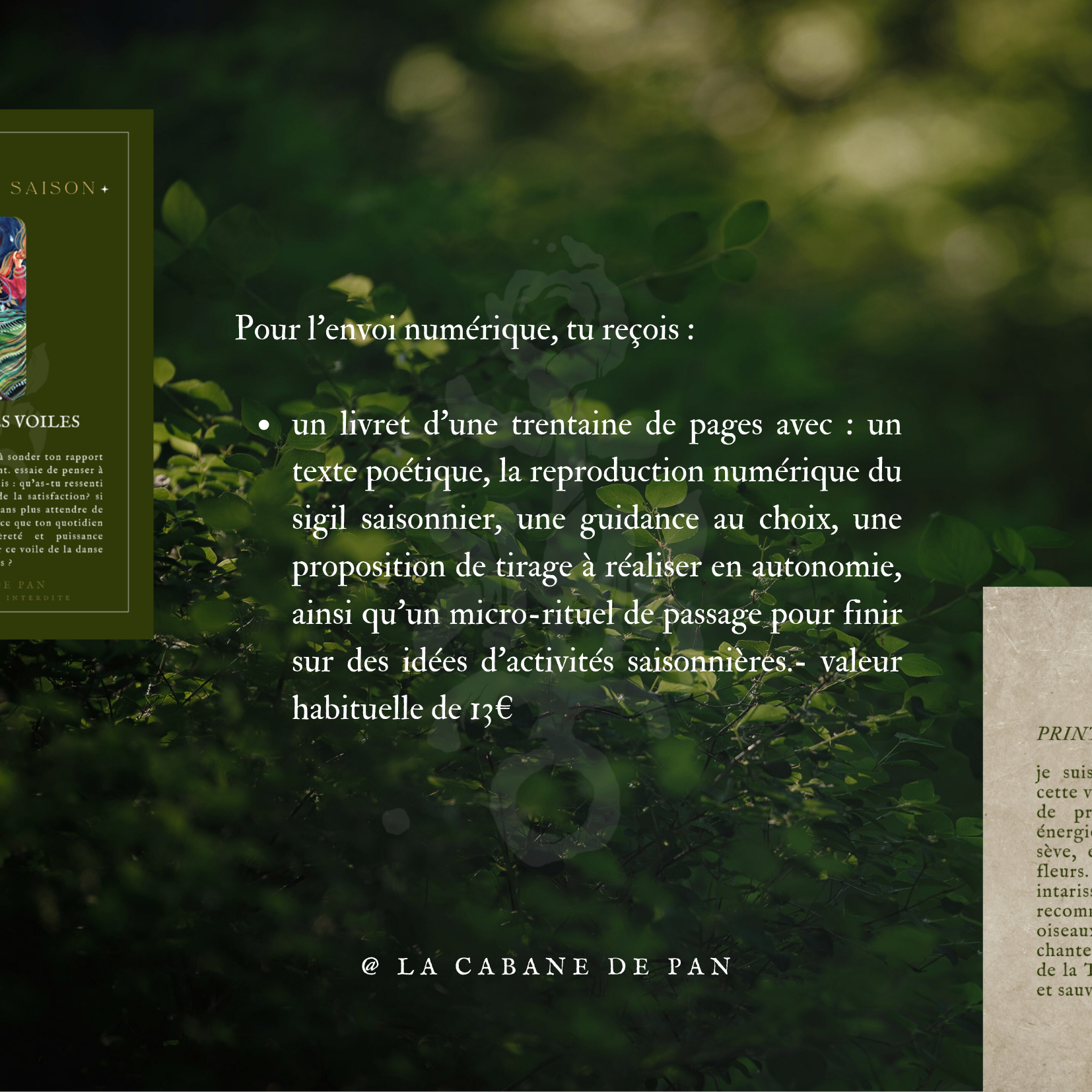 Coffret printanier - printemps 2026 – Image 4