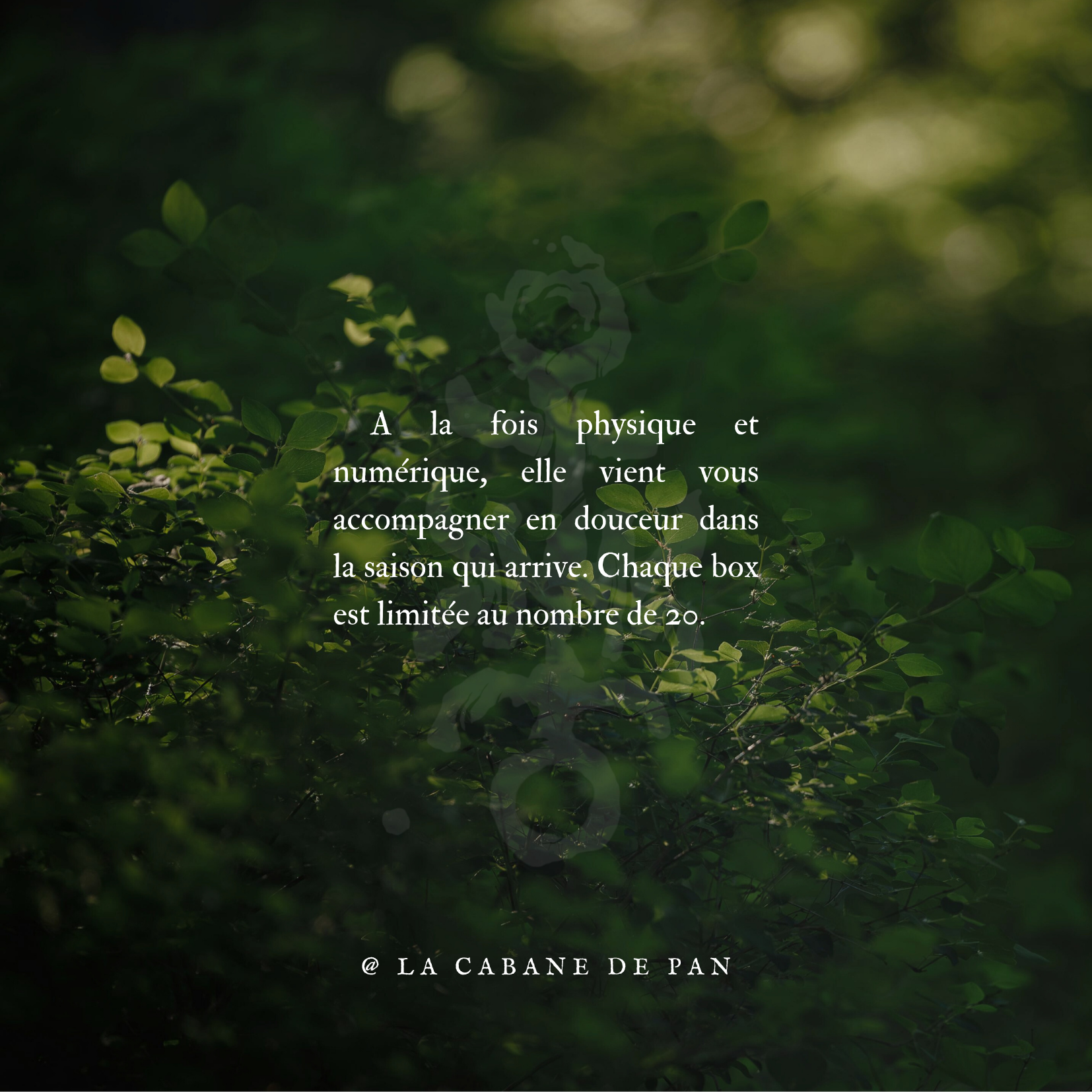 Coffret printanier - printemps 2026 – Image 5