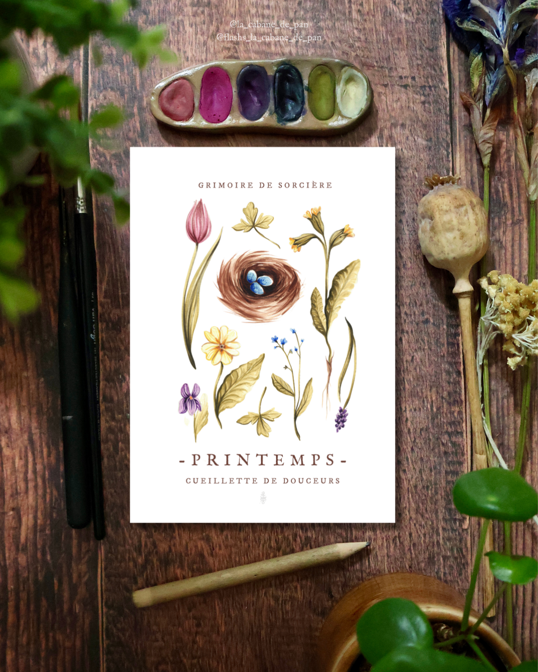 Récolte de printemps • Tirage d’art (affiche)