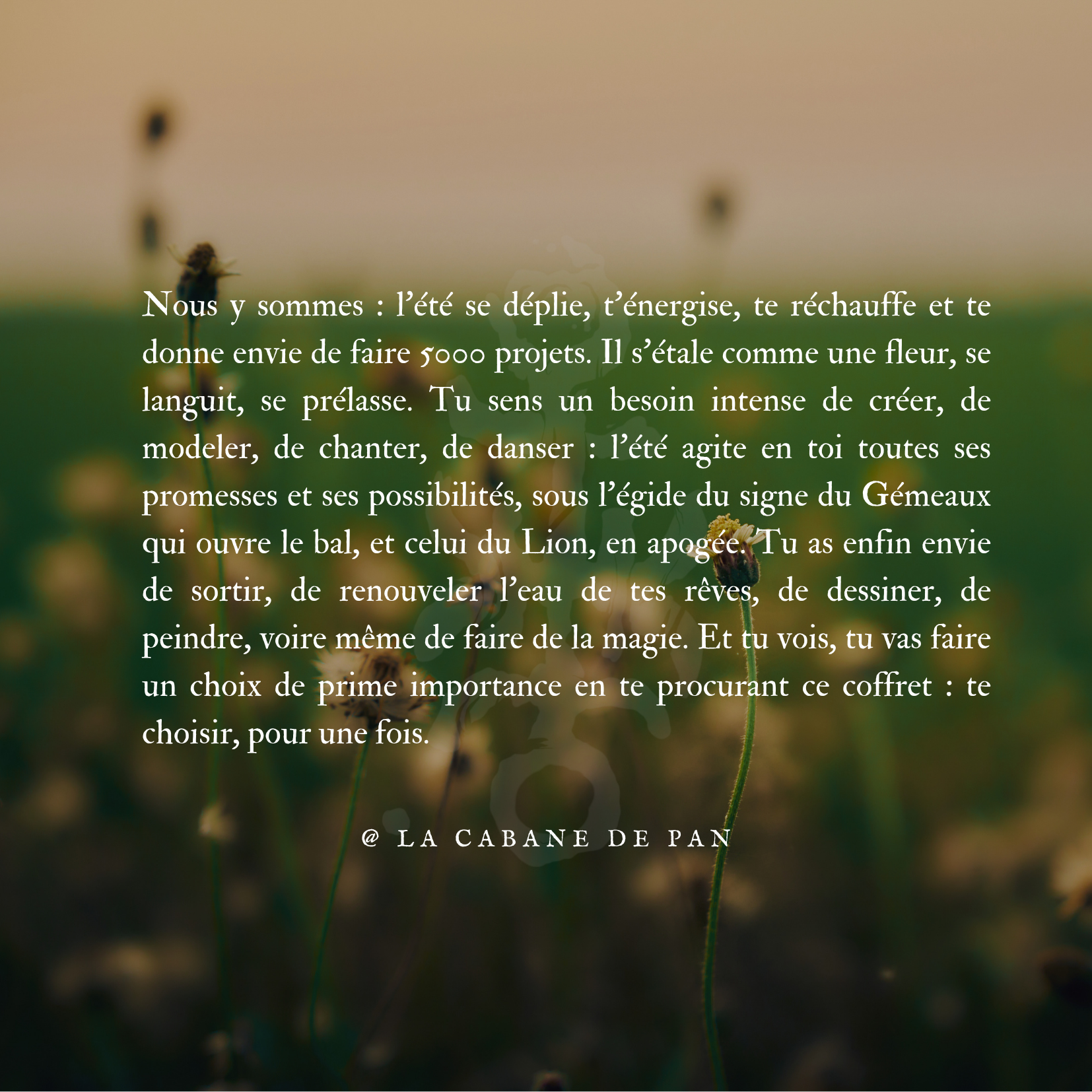 Coffret estival - été 2026 – Image 2