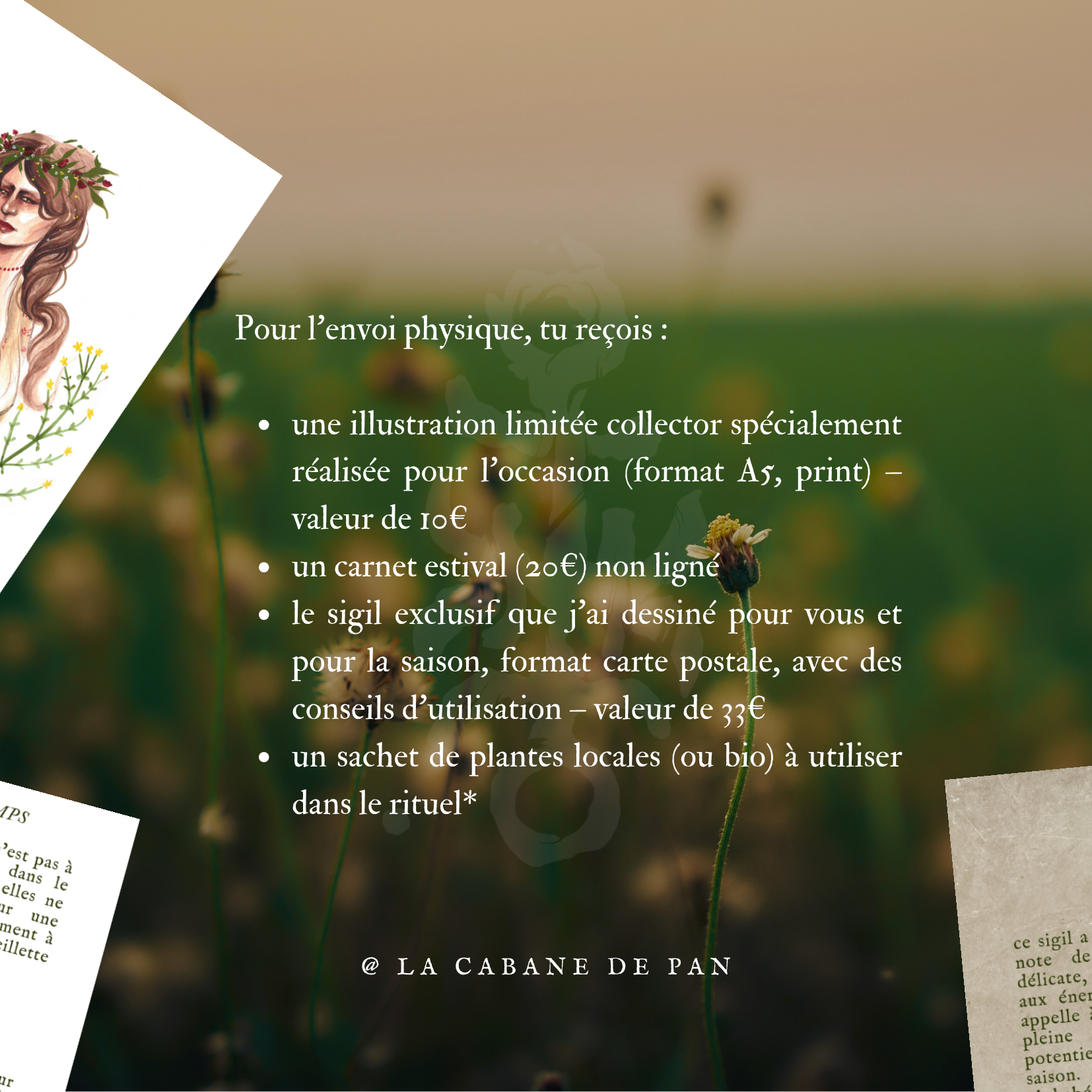 Coffret estival - été 2026 – Image 3