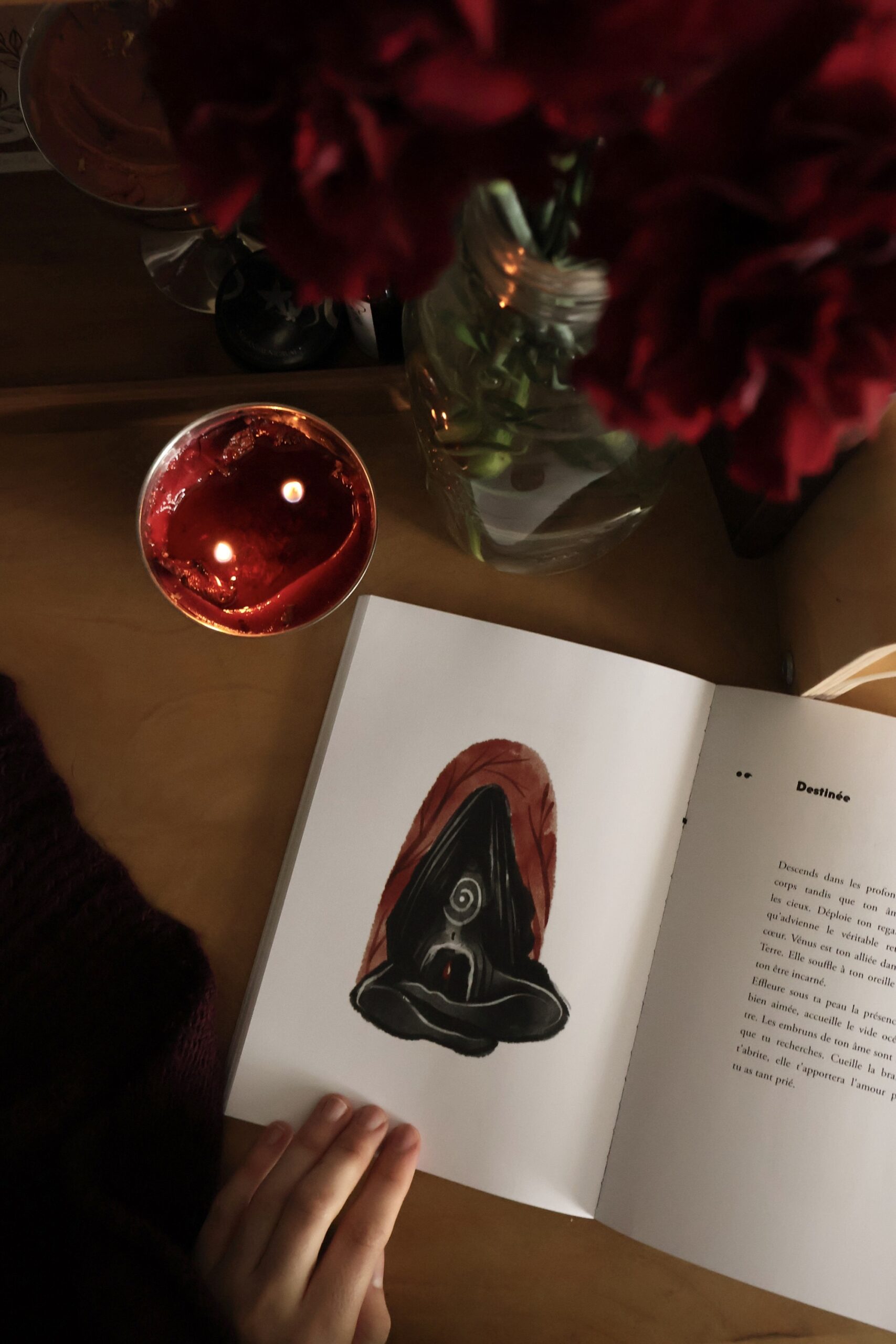 Coffret des Amazones avec livre dédicacé inclus