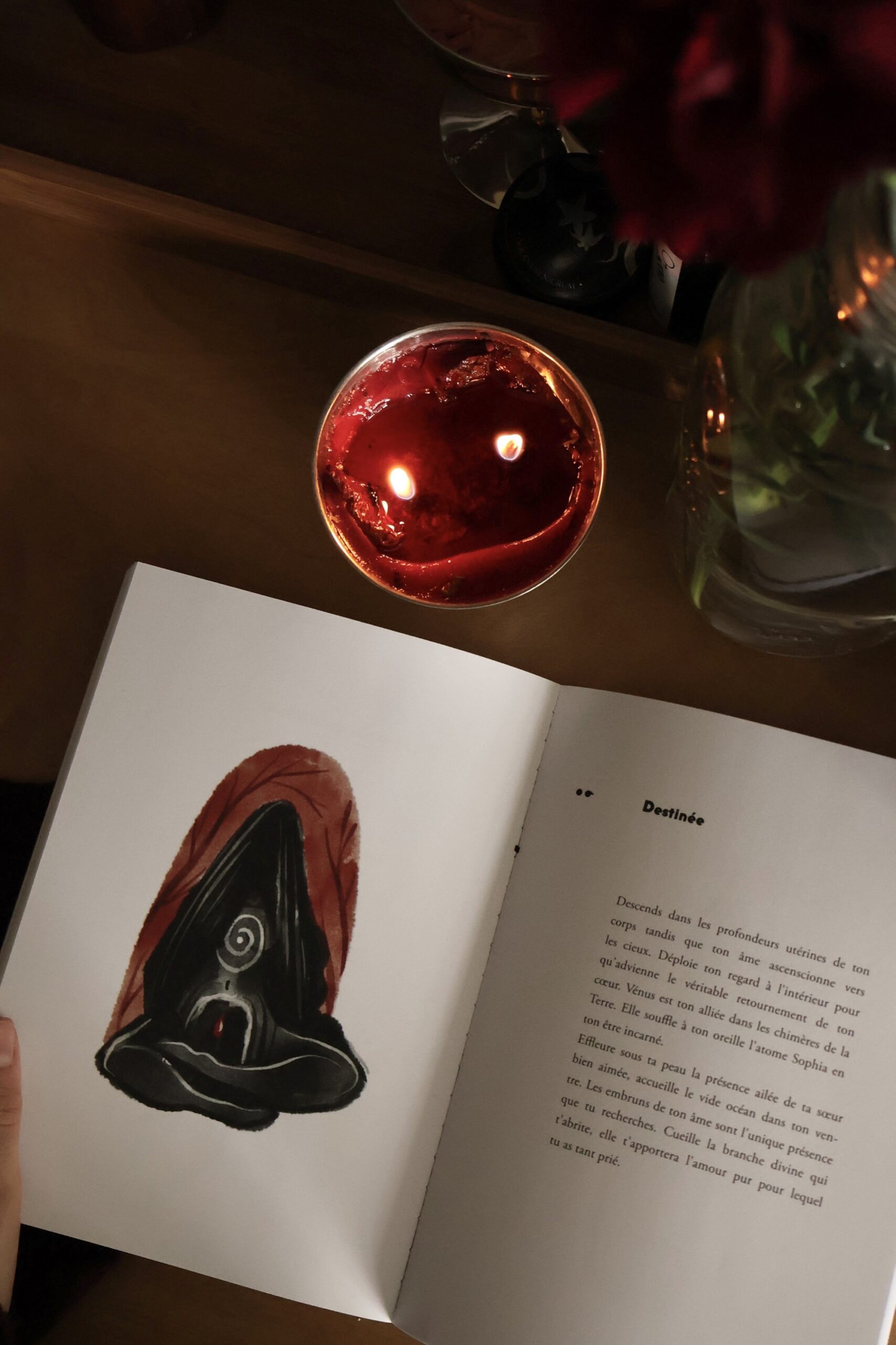 Coffret des Amazones avec livre dédicacé inclus – Image 4