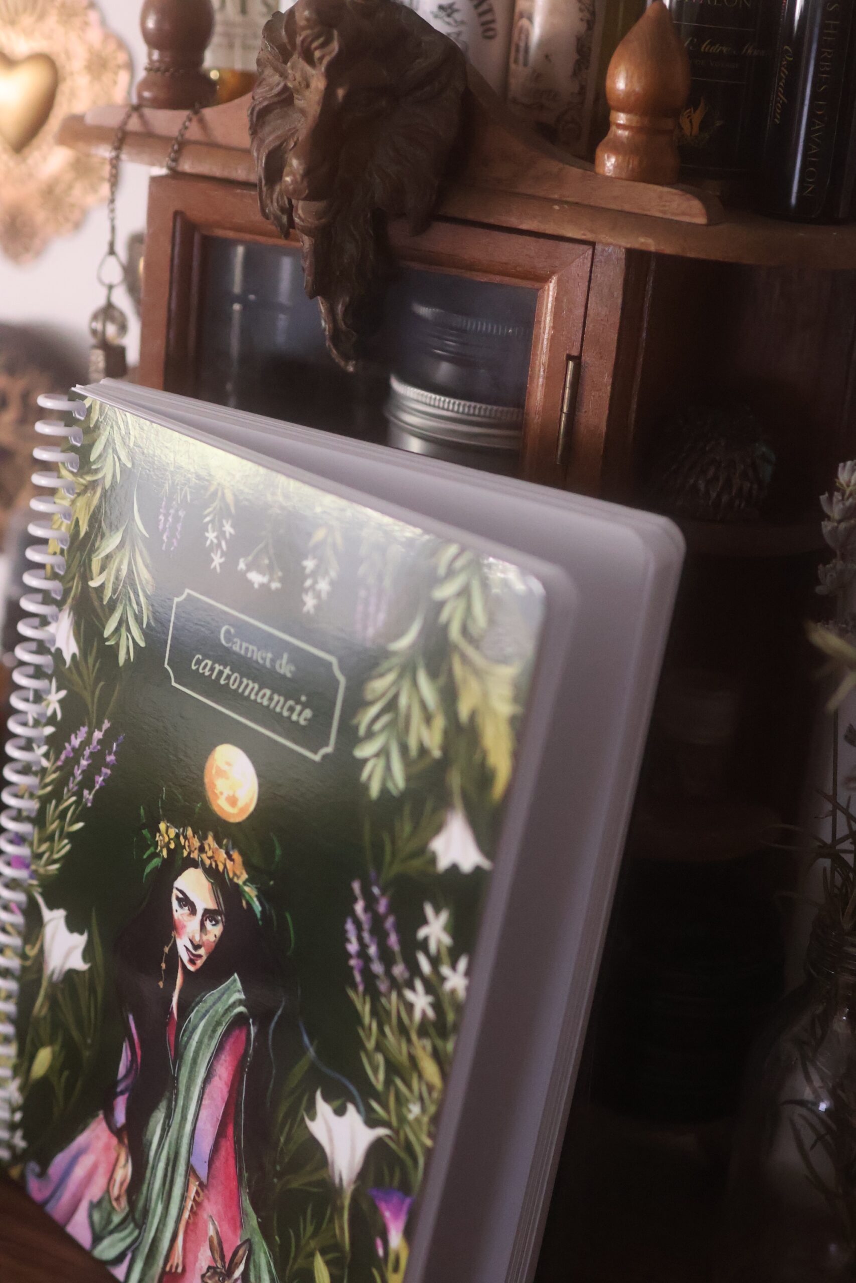 DESTOCKAGE - Carnet de cartomancie • 100 pages (A5) – Image 6