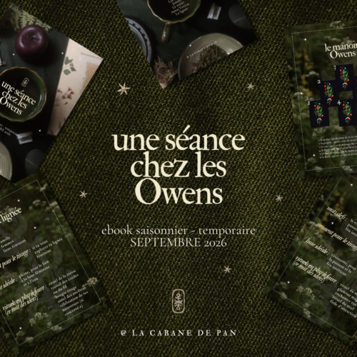 Une séance chez les Owens - ebook saisonnier