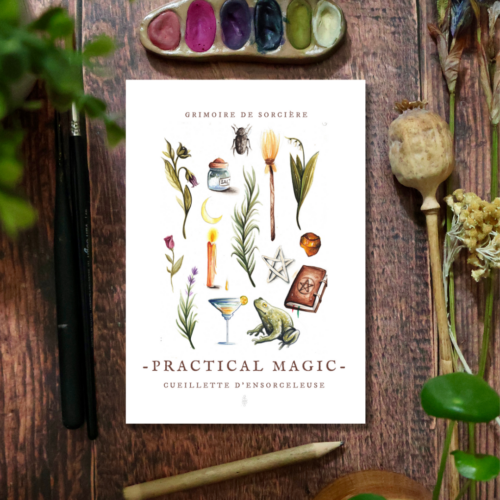 Practical Magic • Tirage d’art (affiche)